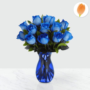 Fiesta Azul (12 rosas azules) - Flores 24 Horas