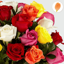 Cargar imagen en el visor de la galería, Rosas Mixtas (Bouquet o Jarrón) - Flores 24 Horas