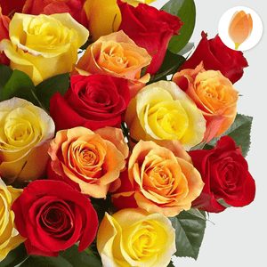 Rosas de Otoño - Flores 24 Horas
