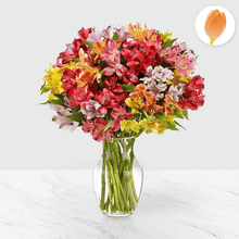 Load image into Gallery viewer, Rainbow Bouquet y Arreglo de flores, envía flores a Colombia desde USA, Flores para regalo y Flores 24 horas