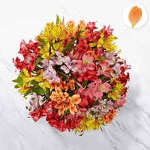 Load image into Gallery viewer, Rainbow Bouquet y Arreglo de flores, envía flores a Colombia desde USA, Flores para regalo y Flores 24 horas