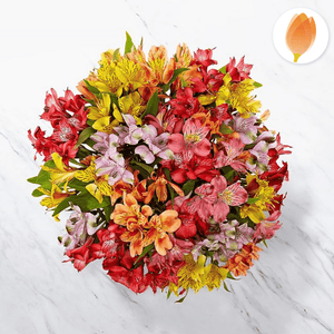 Rainbow Bouquet y Arreglo de flores, envía flores a Colombia desde USA, Flores para regalo y Flores 24 horas