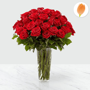 Rosas Rojas larga duración Arreglo de flores, envía flores a Colombia desde USA, Flores para regalo y Flores 24 horas
