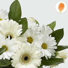 Cargar imagen en el visor de la galería, Hogar Dulce Hogar, Arreglo de flores, envía flores a Colombia desde USA, Flores para regalo y Flores 24 horas