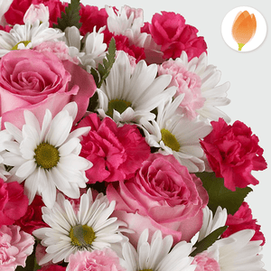 Dulce Suspiro, Arreglo de flores, envía flores a Colombia desde USA, Flores para regalo y Flores 24 horas