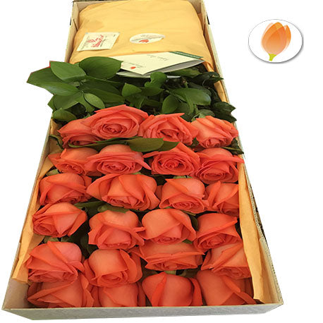 Rosas Salmon en Caja - Flores 24 Horas