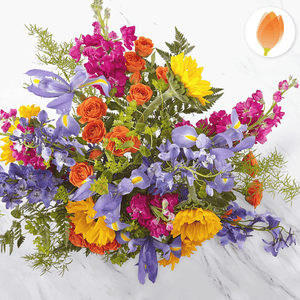 Rayos de vida, Regala Flores de cumpleaños, Happy B-Day y para cualquier ocasión, envía flores por Flores Para Regalo