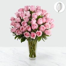 Load image into Gallery viewer, Ramo de rosas rosadas tallo largo - Flores 24 Horas
