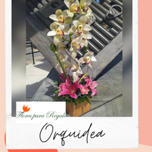 Load image into Gallery viewer, orchids for you