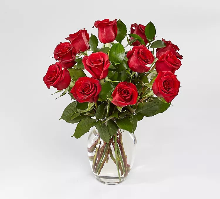 Regala Armonia con 12 rosas Rojas | Compra ahora