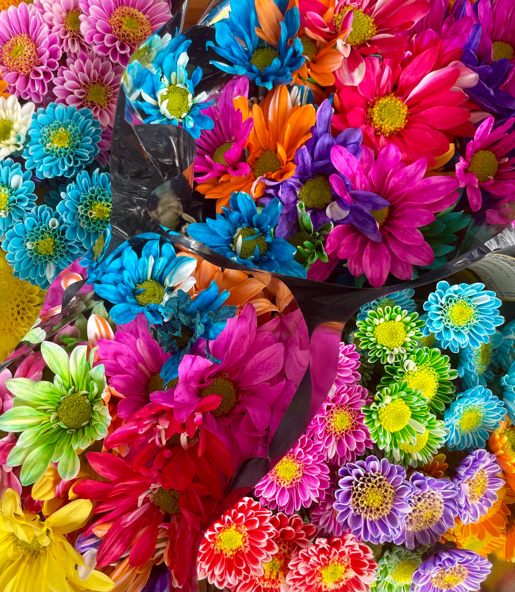 Mixed daisies in package