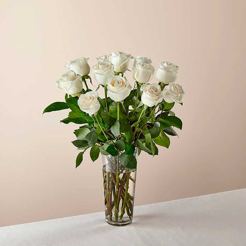 Ramo de rosas blancas de tallo largo: Las rosas blancas son elegantes, luminosas y acentúan maravillosamente cualquier habitación. Floristería Flores 24 Horas