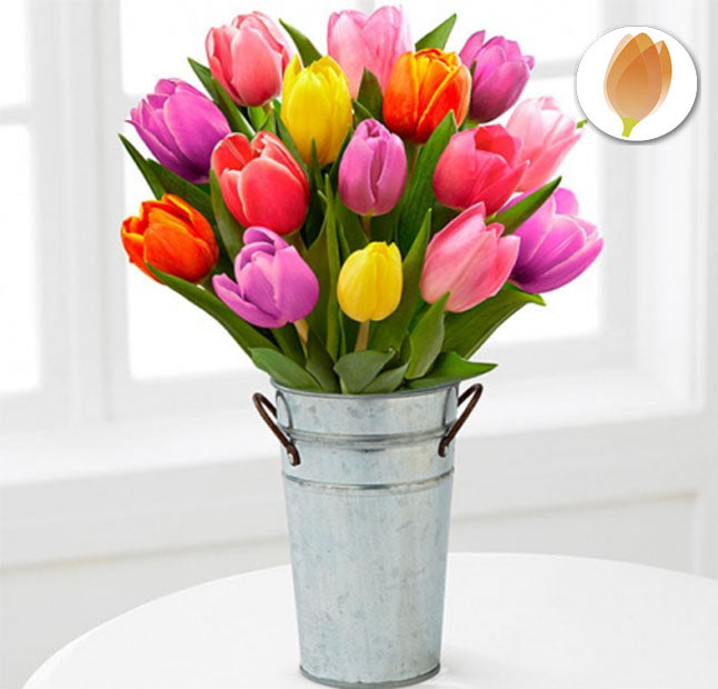 Tulipanes para Cumpleaños - Flores 24 Horas