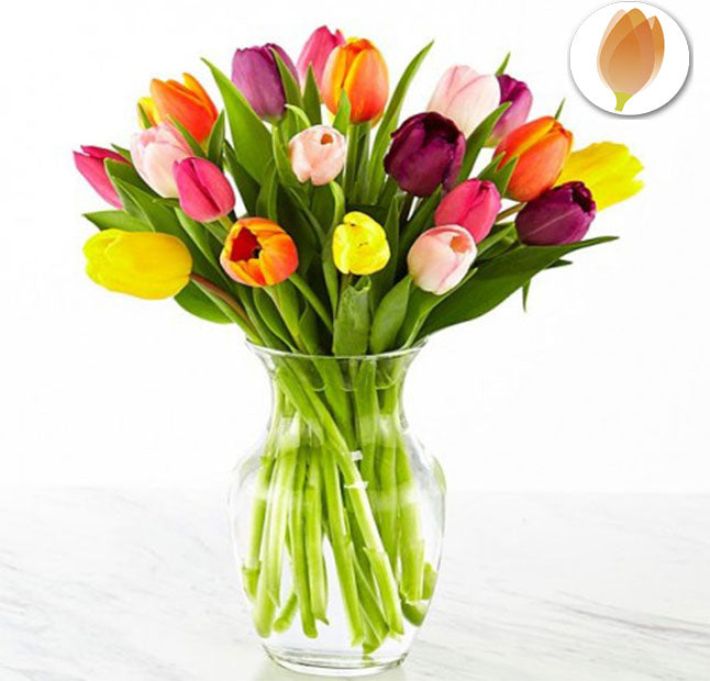 Tulipanes Frescos - Flores 24 Horas